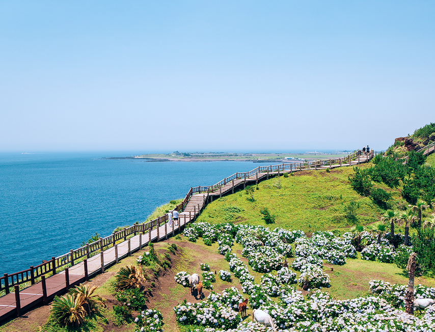 キャンペーン画像